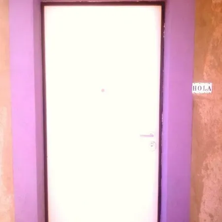 Viola *